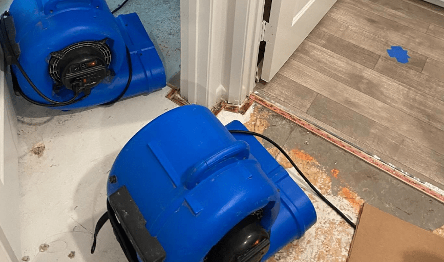 Whole-In-One Restoration